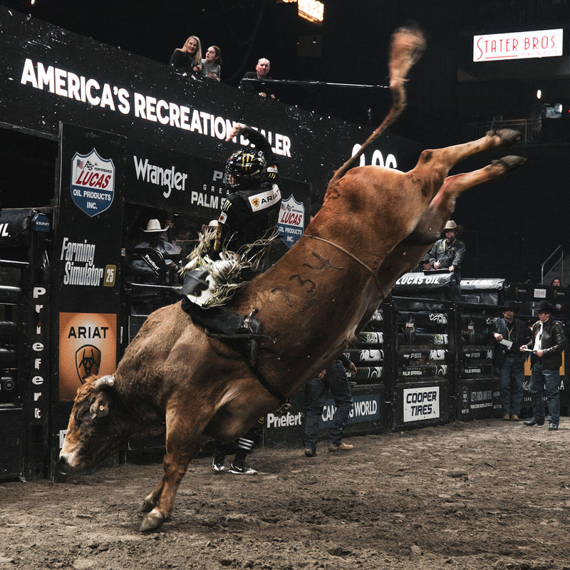 ICON - PBR