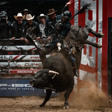 ICON - PBR