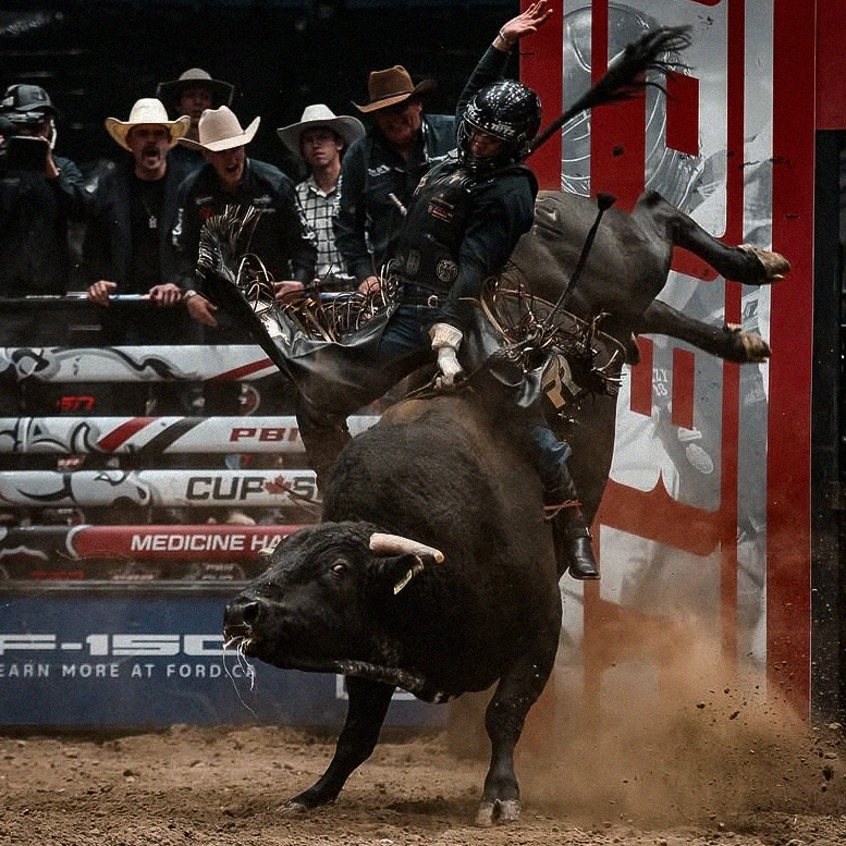 ICON - PBR